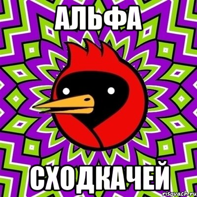 Альфа Сходкачей, Мем Омская птица