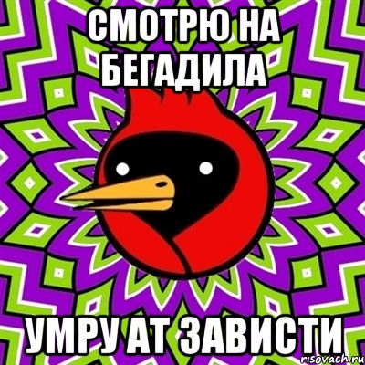 смотрю на Бегадила Умру ат зависти, Мем Омская птица