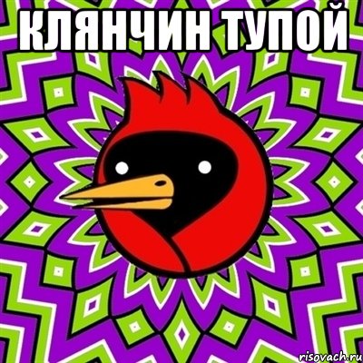 Клянчин тупой , Мем Омская птица