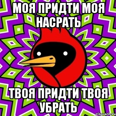 моя придти моя насрать твоя придти твоя убрать, Мем Омская птица