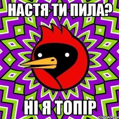 Настя ти пила? Ні я топір, Мем Омская птица
