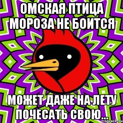 омская птица мороза не боится может даже на лету почесать свою..., Мем Омская птица