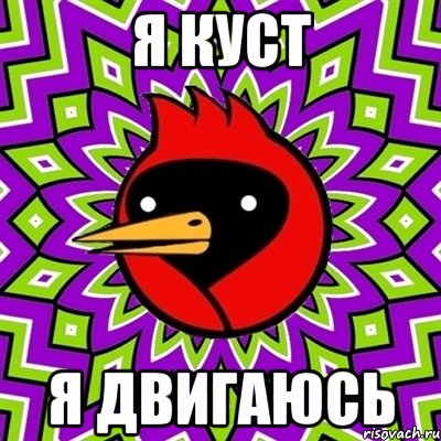 Я КУСТ Я ДВИГАЮСЬ, Мем Омская птица