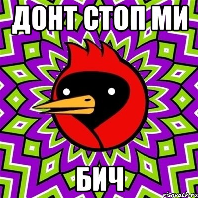 ДОНТ СТОП МИ БИЧ, Мем Омская птица