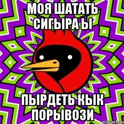 МОЯ ШАТАТЬ СИГЫРА Ы ПЫРДЕТЬ КЫК ПОРЫВОЗИ, Мем Омская птица