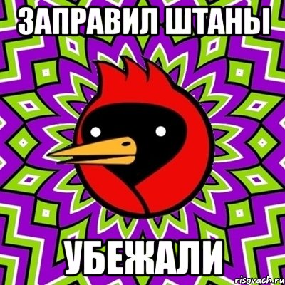 заправил штаны убежали, Мем Омская птица