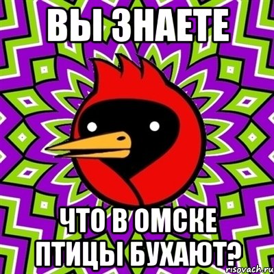 Вы знаете что в омске Птицы бухают?, Мем Омская птица