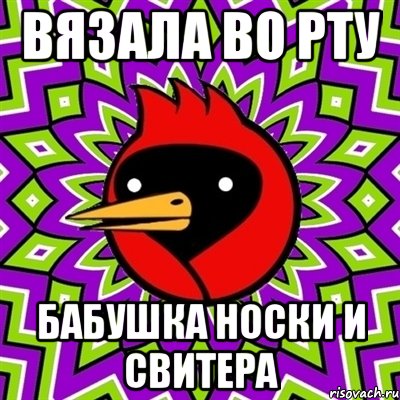 вязала во рту бабушка носки и свитера, Мем Омская птица
