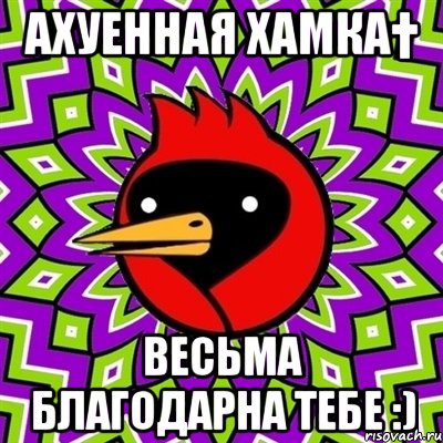 Ахуенная хамка† Весьма благодарна тебе :), Мем Омская птица
