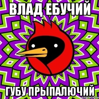 влад ебучий губу прыпалючий, Мем Омская птица