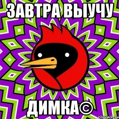 завтра выучу Димка©, Мем Омская птица