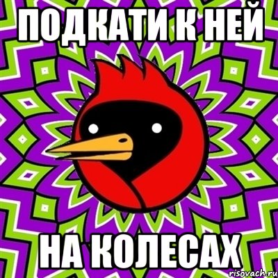 ПОДКАТИ К НЕЙ НА КОЛЕСАХ, Мем Омская птица