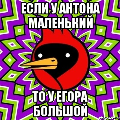Если у Антона маленький То у Егора большой, Мем Омская птица