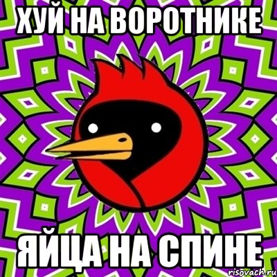Хуй на воротнике Яйца на спине, Мем Омская птица