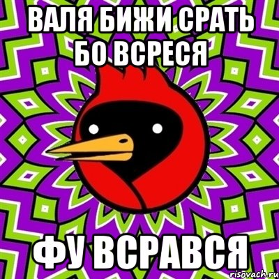 валя бижи срать бо всреся фу всрався, Мем Омская птица