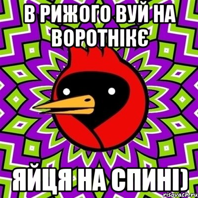 В рижого вуй на воротнікє Яйця на спині), Мем Омская птица