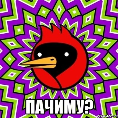  Пачиму?, Мем Омская птица
