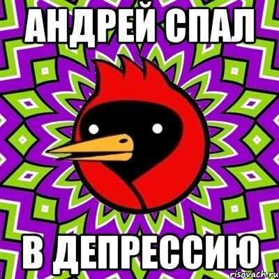 Андрей спал В депрессию, Мем Омская птица