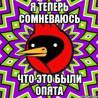 Я теперь сомневаюсь Что это были опята, Мем Омская птица