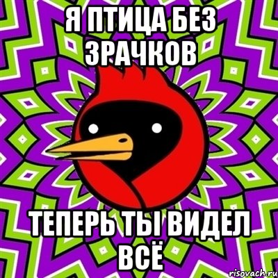 я птица без зрачков теперь ты видел всё, Мем Омская птица