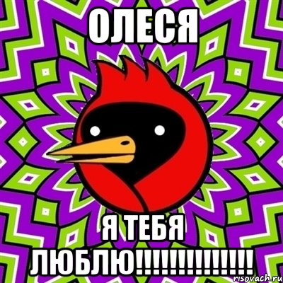 Олеся Я ТЕБЯ ЛЮБЛЮ!!!!!!!!!!!!!!, Мем Омская птица