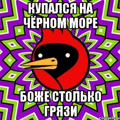 купался на чёрном море боже столько грязи, Мем Омская птица