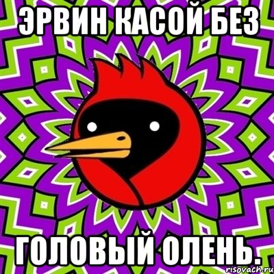 Эрвин касой без головый олень., Мем Омская птица