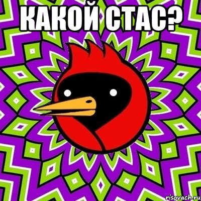 какой стас? , Мем Омская птица