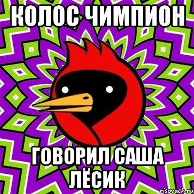 колос чимпион говорил Саша Лёсик, Мем Омская птица