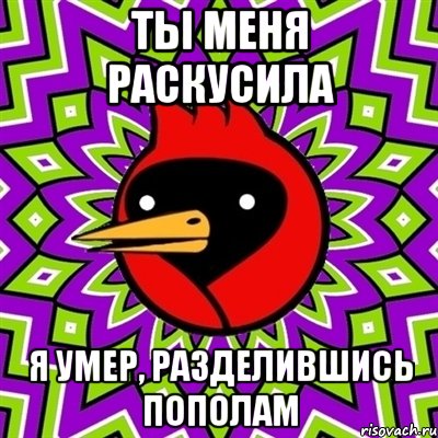 ТЫ МЕНЯ РАСКУСИЛА Я умер, разделившись пополам, Мем Омская птица