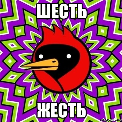 шесть жесть, Мем Омская птица