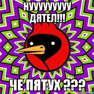 НУУУУУУУУУ ДЯТЕЛ!!! ЧЕ ПЯТУХ ???, Мем Омская птица