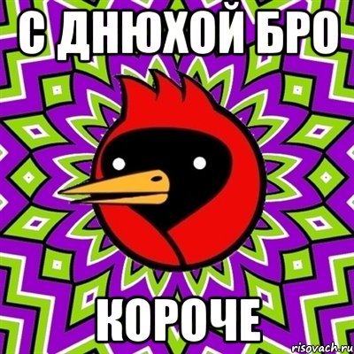 С днюхой бро короче, Мем Омская птица