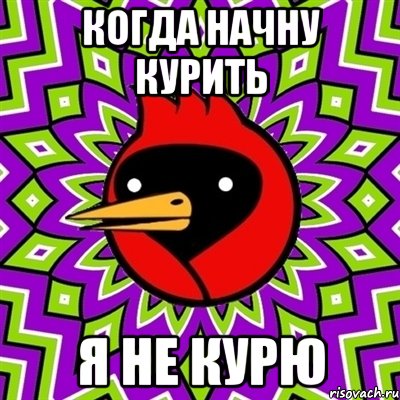 когда начну курить я не курю, Мем Омская птица