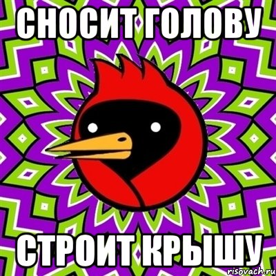 Сносит голову Строит крышу, Мем Омская птица