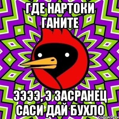 Где нартоки ганите ЭЭЭЭ, э засранец саси дай бухло, Мем Омская птица