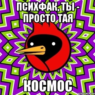 Психфак, ты - просто Тая КОСМОС, Мем Омская птица