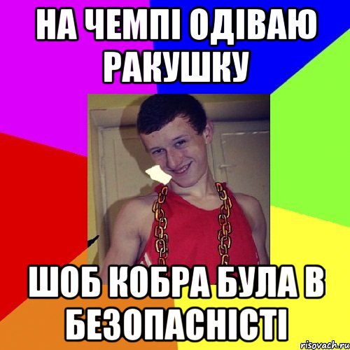 на чемпі одіваю ракушку шоб кобра була в безопасністі