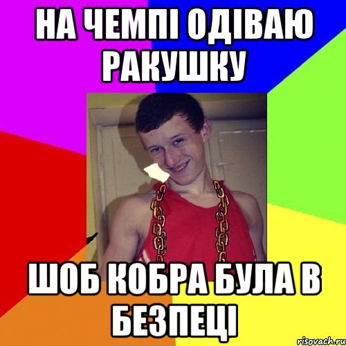 на чемпі одіваю ракушку шоб кобра була в безпеці