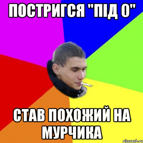 постригся "під 0" став похожий на мурчика