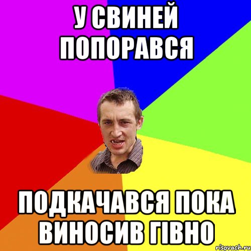 у свиней попорався подкачався пока виносив гівно, Мем Чоткий паца