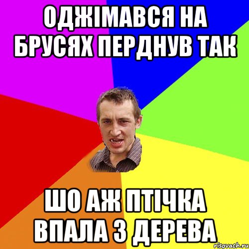 оджімався на брусях перднув так шо аж птічка впала з дерева, Мем Чоткий паца