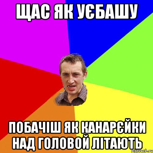 щас як уєбашу побачiш як канарєйки над головой лiтають, Мем Чоткий паца