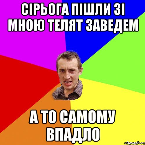 сірьога пішли зі мною телят заведем а то самому впадло, Мем Чоткий паца