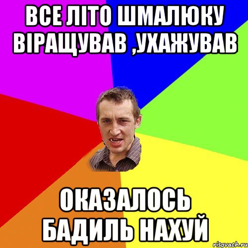 все літо шмалюку віращував ,ухажував оказалось бадиль нахуй, Мем Чоткий паца