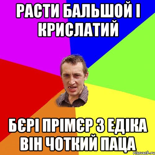 расти бальшой і крислатий бєрі прімєр з едіка він чоткий паца, Мем Чоткий паца