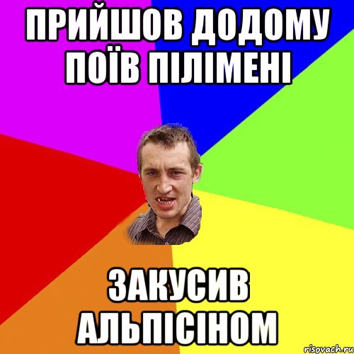 прийшов додому поїв пілімені закусив альпісіном, Мем Чоткий паца