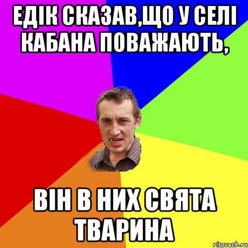 едік сказав,що у селі кабана поважають, він в них свята тварина, Мем Чоткий паца