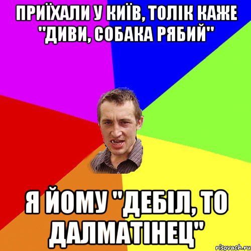 приїхали у київ, толiк каже "диви, собака рябий" я йому "дебіл, то далматінец", Мем Чоткий паца