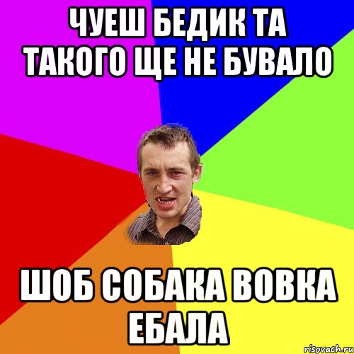 чуеш бедик та такого ще не бувало шоб собака вовка ебала, Мем Чоткий паца